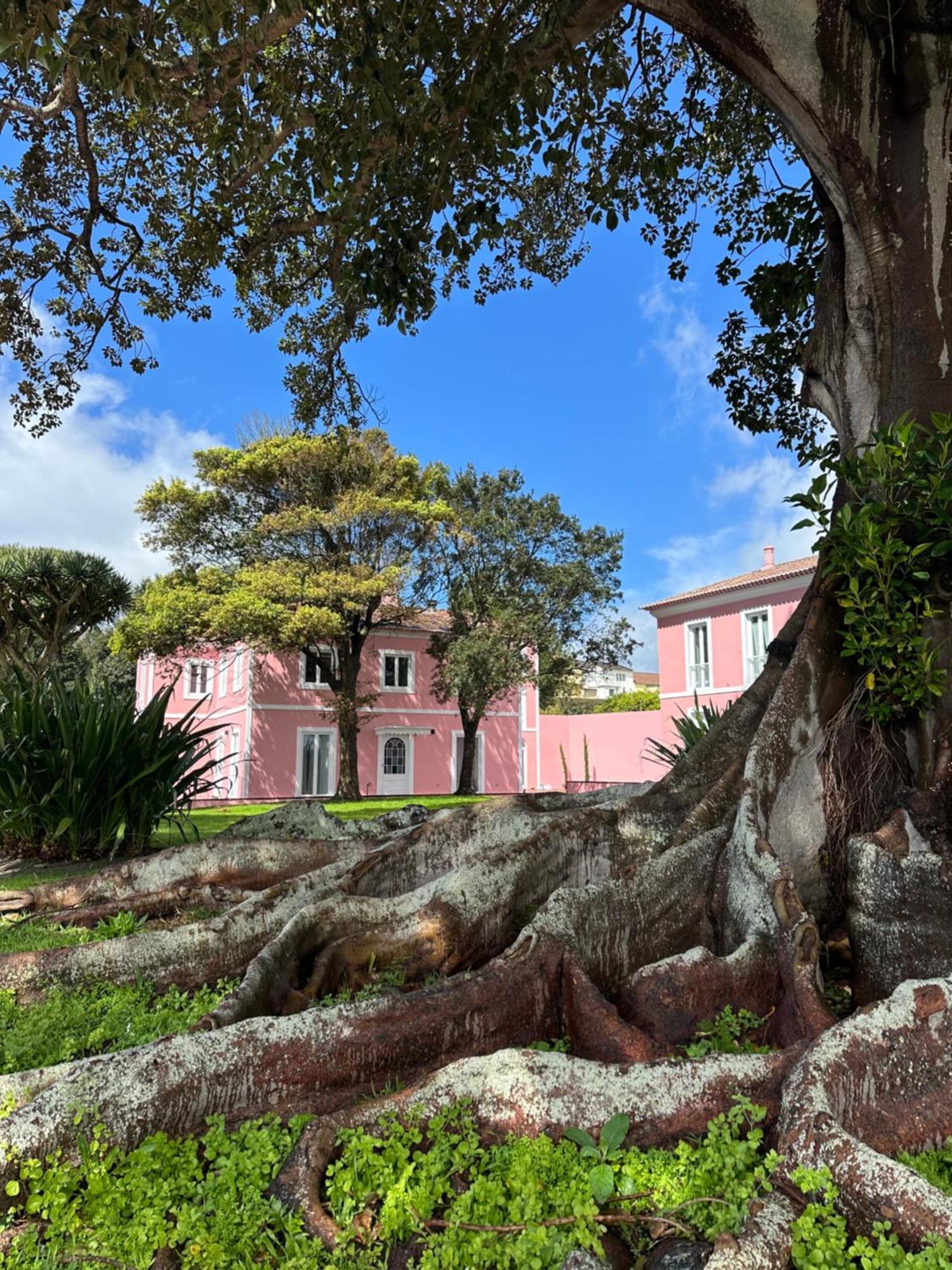 Solar Dos Cantos Botanic House & Garden Ponta Delgada Buitenkant foto