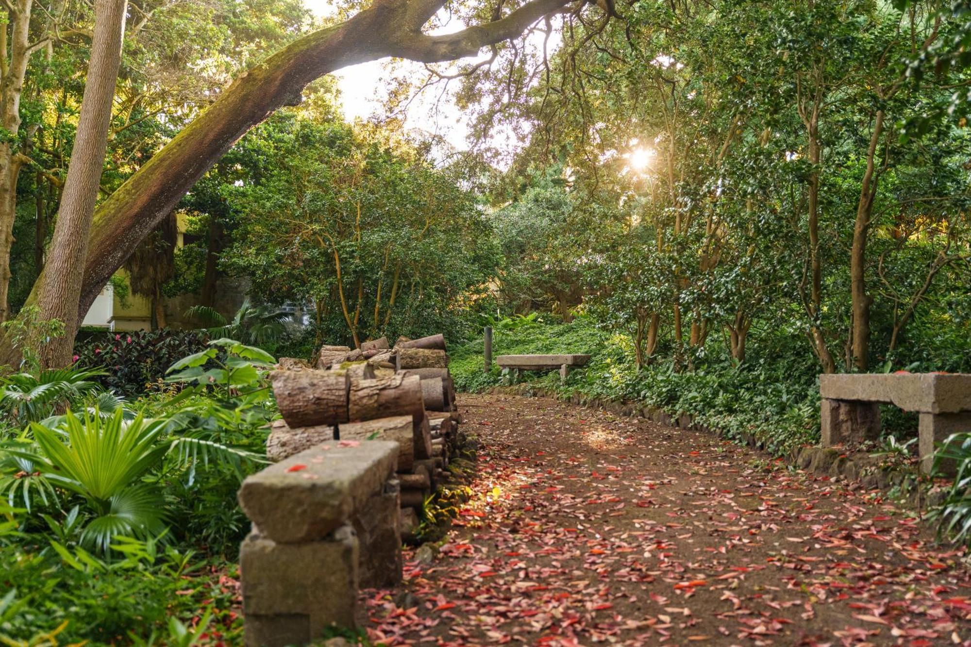 Solar Dos Cantos Botanic House & Garden Ponta Delgada Buitenkant foto